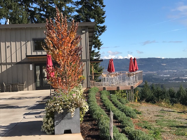 Lange Winery Patio courtesy of Tricia Conover, GrapeStone Concepts