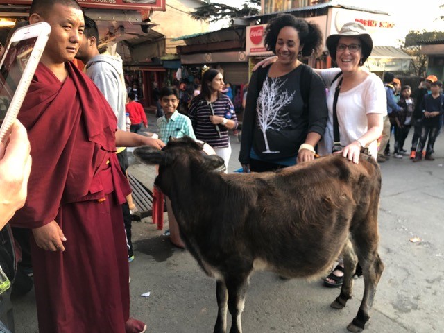 Meeting the Dalai Lama (4)