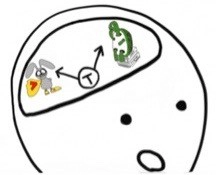 Sensory Input