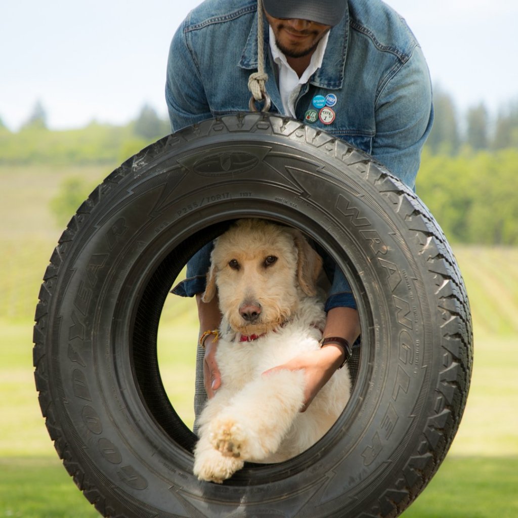 Stoller Family Estates - Tasting Room Lawn