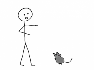 Stumbling Upon a Mouse