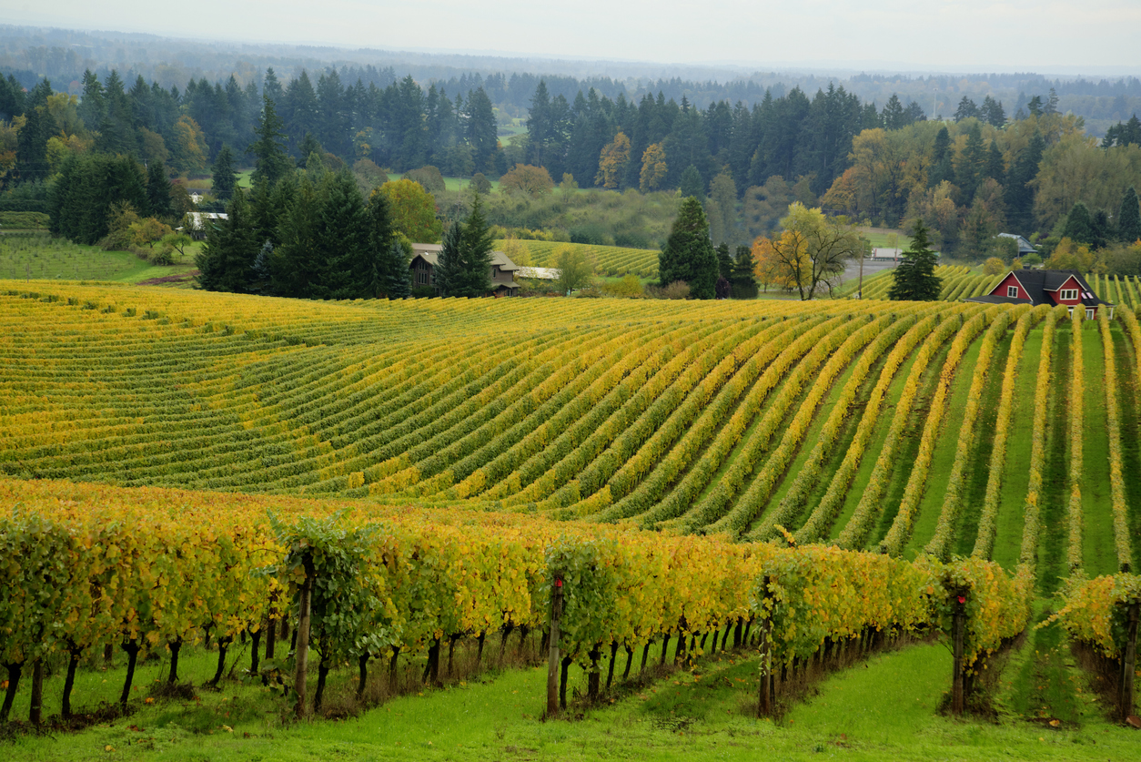 Willamette Valley Feature
