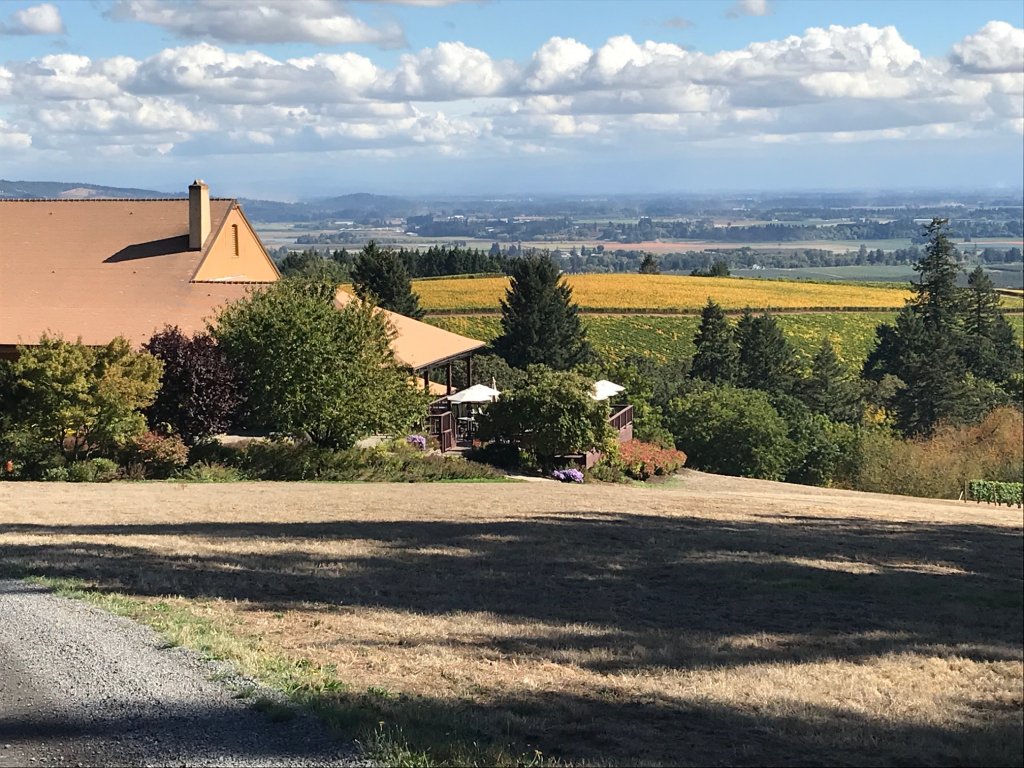 View at Domaine Drouhin courtesy of Tricia Conover, GrapeStone Concepts