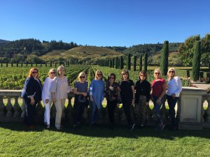 Sonoma Wineries Feature