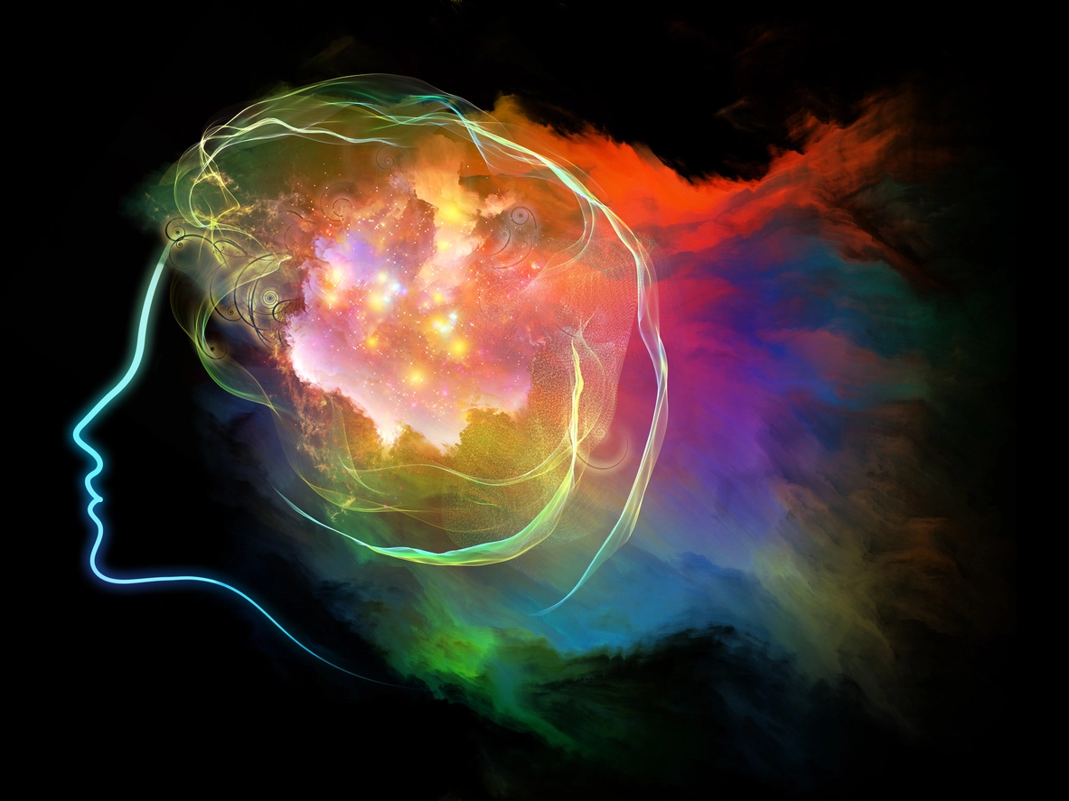 Effects of Alcohol on the Brain