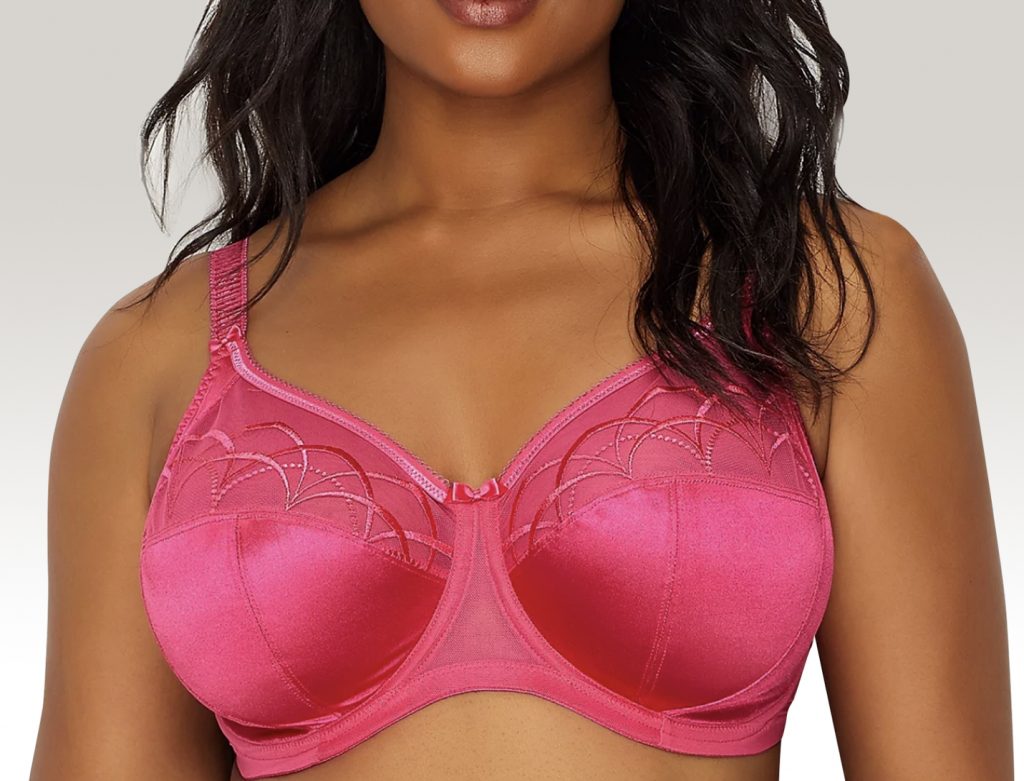 Bare Necessities bra