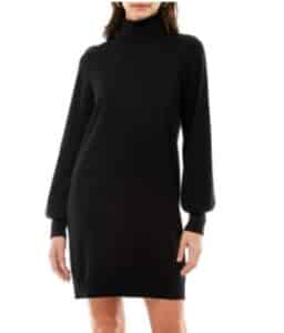 Morela Long Sleeve Turtleneck Sweater Dress
