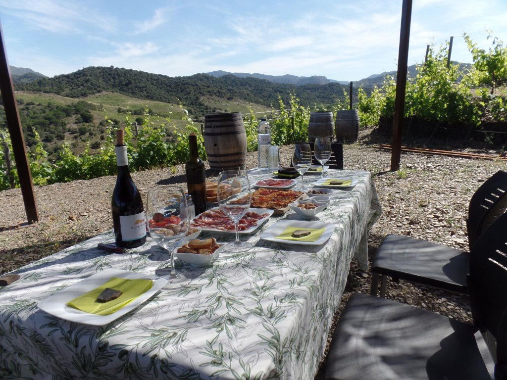 "Breakfast in the Vineyard" at Mas Perinet