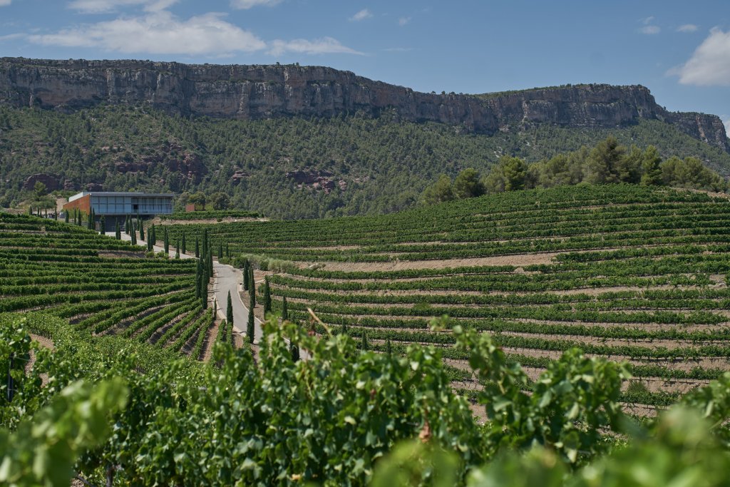 Torres Priorat Bodega and Surroundings