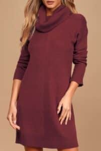 Tea Reader Burgundy Sweater Dress