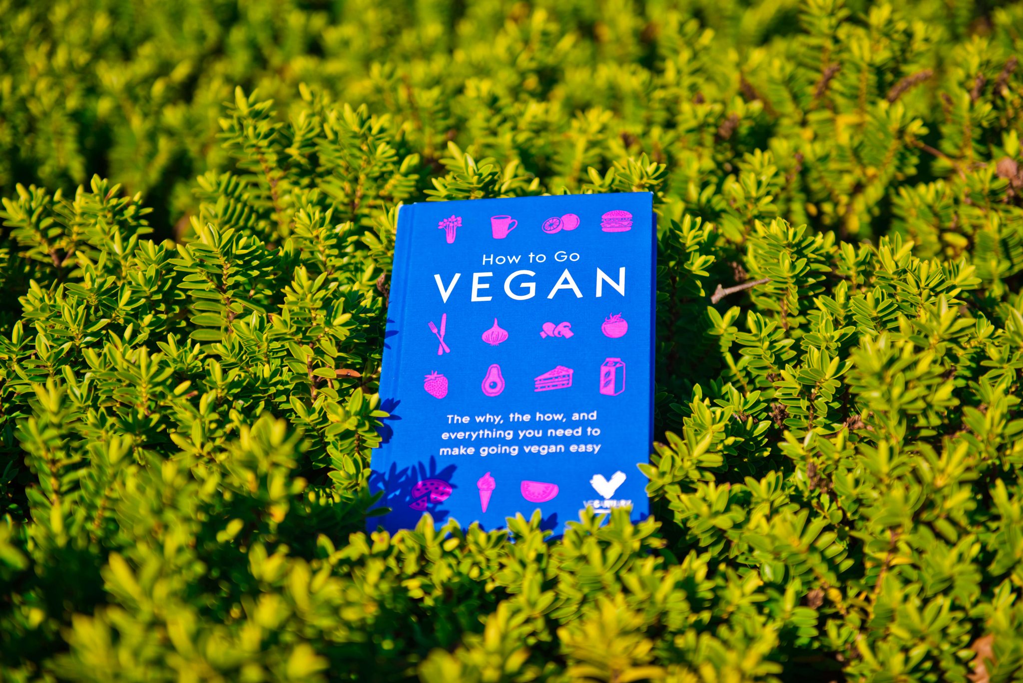 Veganuary-How to Go Vegan