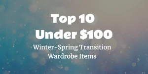Top 10 Under $100