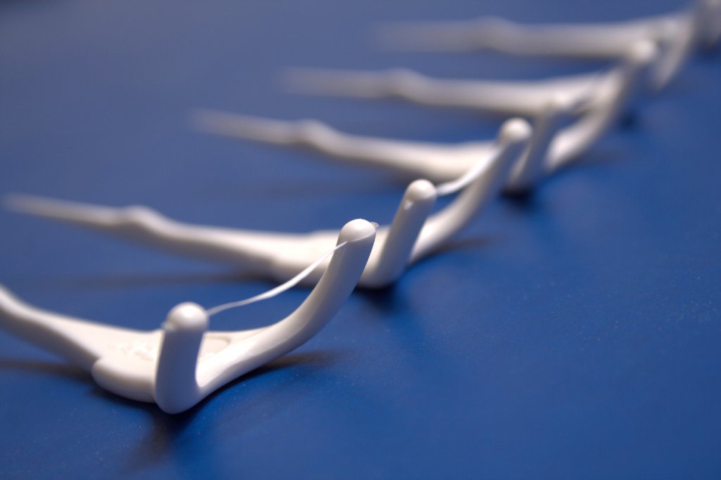 Dental Floss Picks