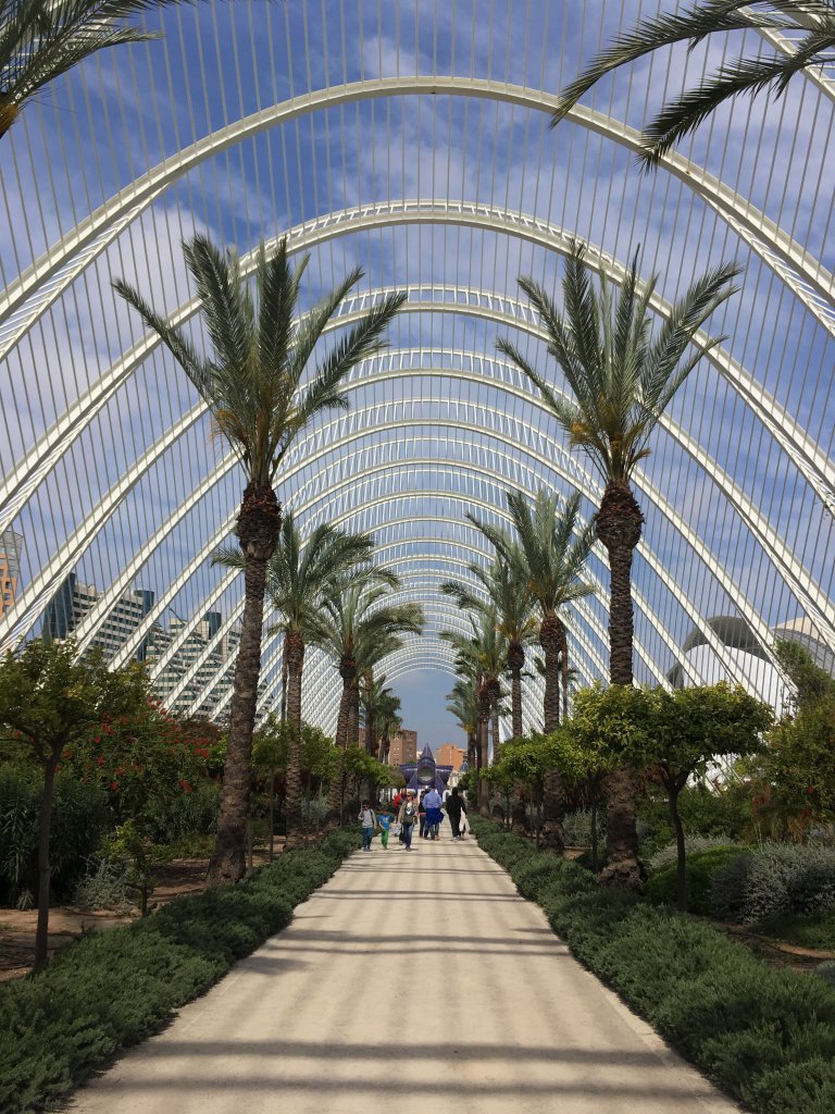 TOP 5 THINGS TO DO IN VALENCIA, SPAIN