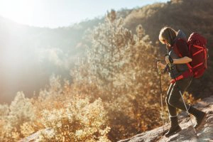 Goal for Career Transition