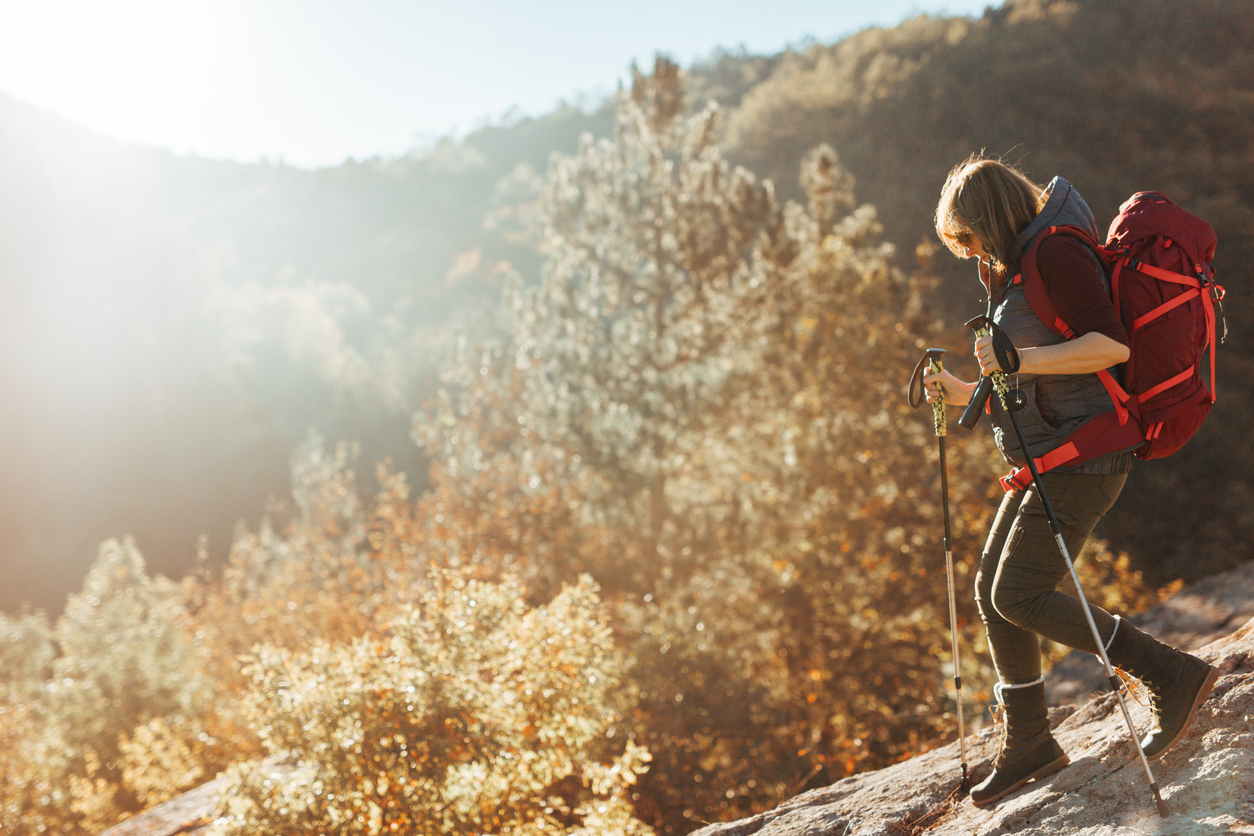 Goal for Career Transition