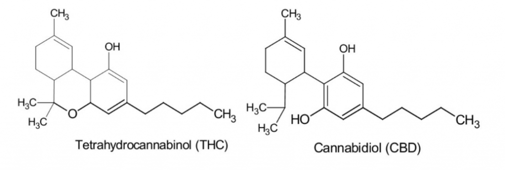 molecular structure of CBD