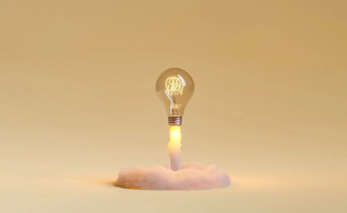 idea taking flight