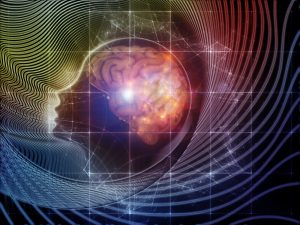 The Living Mind-Organizing Your Brain