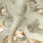 Fascia is a collection of collagen fibers that protect the body 