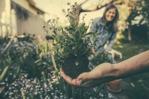 Organic gardening is good for the soul.