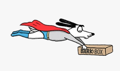 Prime Pick Barkbox