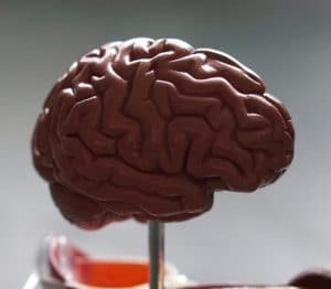 It's important to exercise our brains as we age.