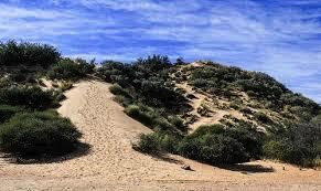 Sand boarding requires the proper hill to slide down.