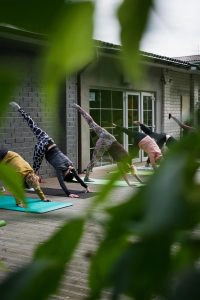 Physical therapy is often prescribed for arthritis, but stem cell therapy is an emerging alternative. 