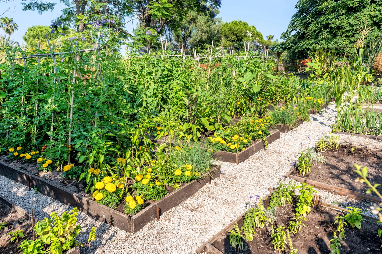 Organic Gardening