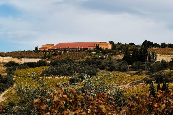 Photo provided by Semeli Winery, a vineyard producing Mediterranean Wines