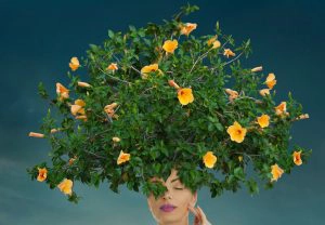 motivational quotes can help your mind bloom