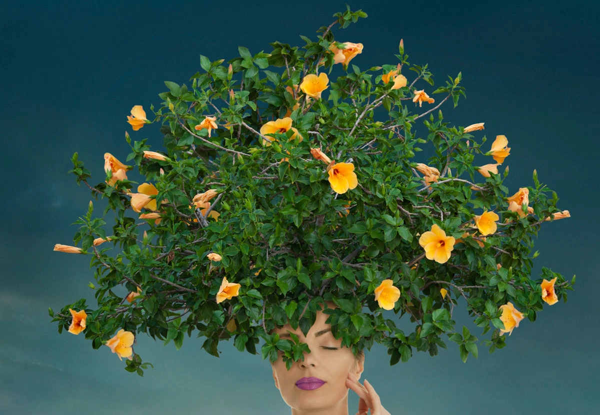 motivational quotes can help your mind bloom