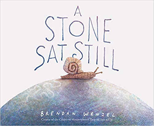 book lover gifts: A Stone Sat Still