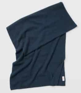 Club Monaco Adele Cashmere Scarf