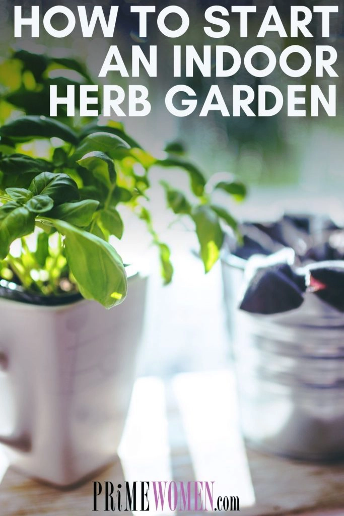 How to Start an Indoor Herb Garden