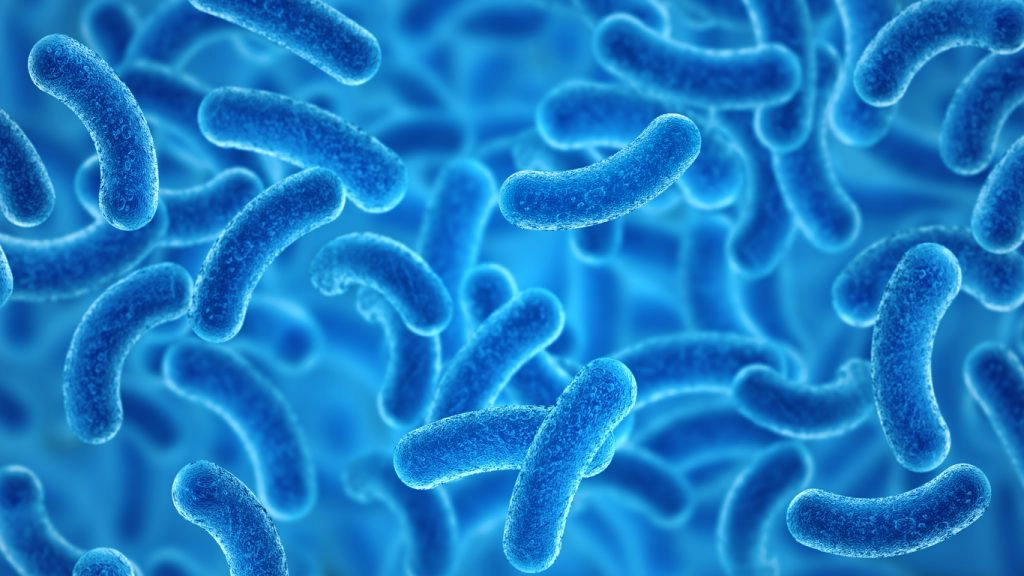 fighting superbugs with pdt