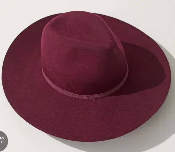 Ribbon Trim Felt Hat