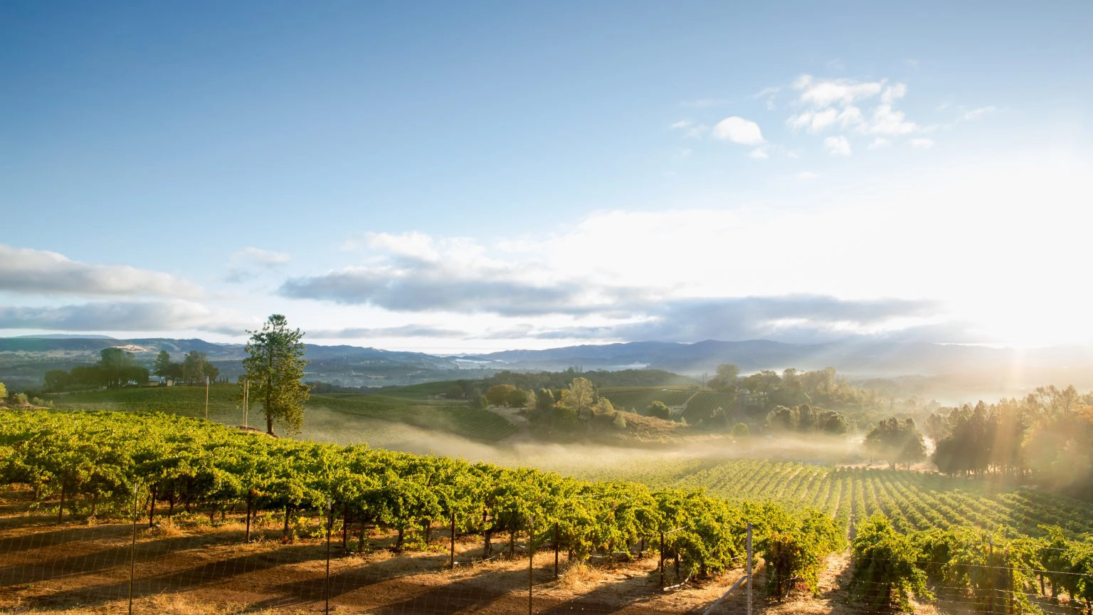 wineries