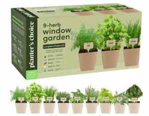 9 Herb Window Garden