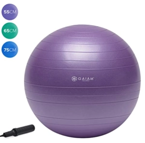 Gaiam Total Body Balance Ball Kit