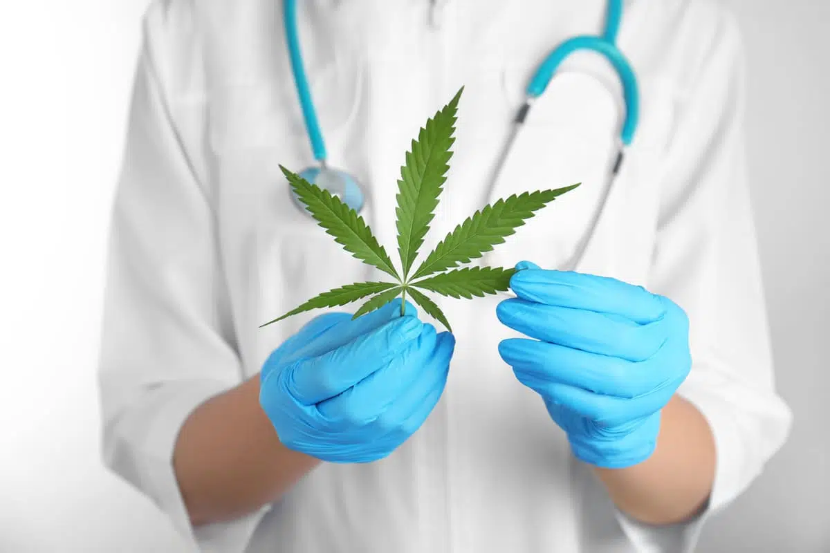 hemp leaf
