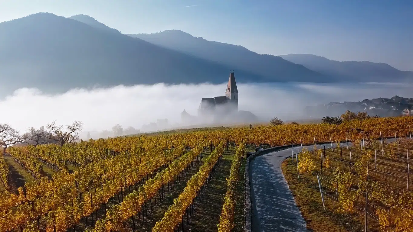 Wachau-Gorge