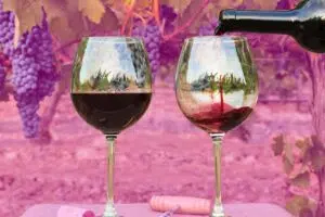 Best Organic Wines