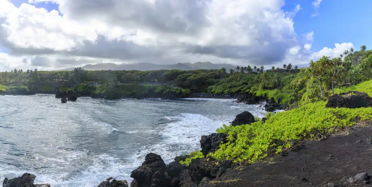 Lava State