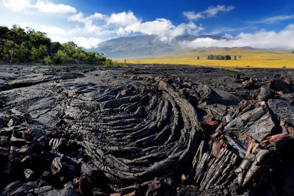 Mauna Loa