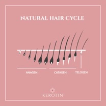 Let's Talk About Female Pattern Hair Loss | PRIMEWomen.com