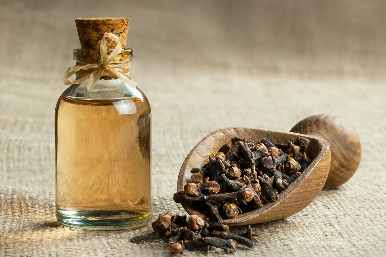 Cloves and clove oil
