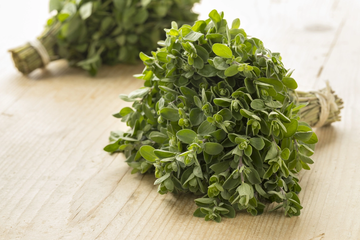 Marjoram and health benefits