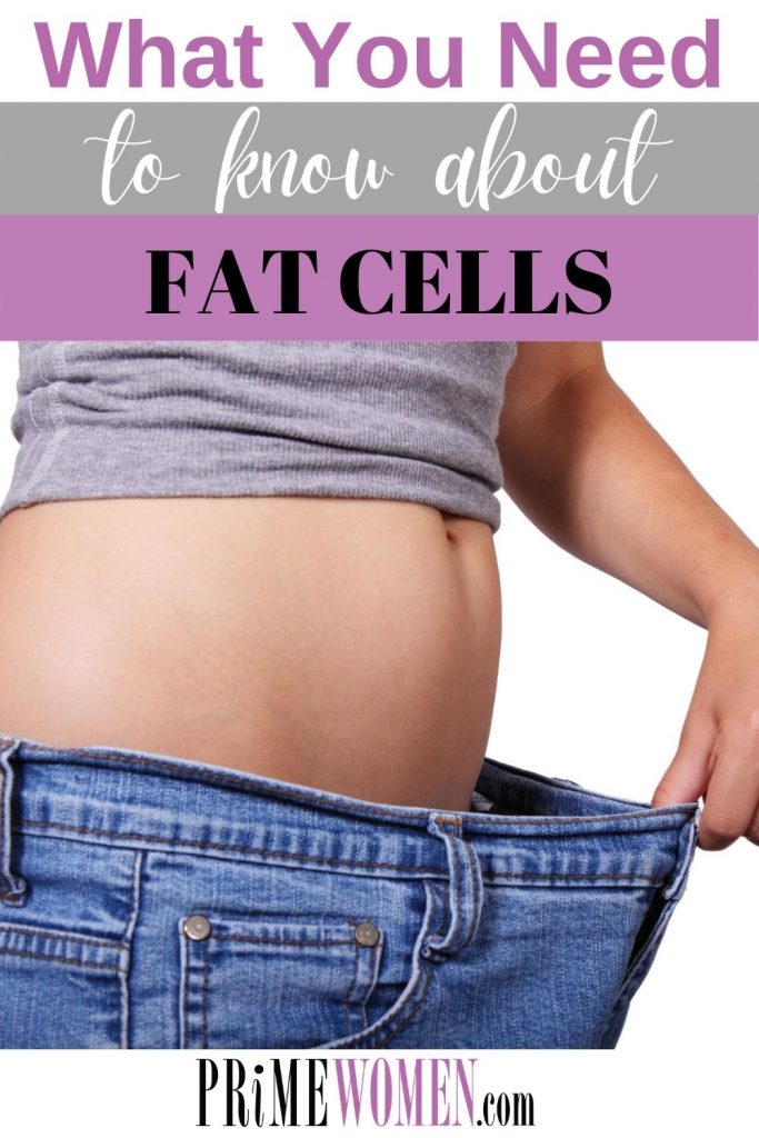 What you need to know about fat cells